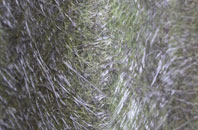 Ochtertyre fibreglass roof work